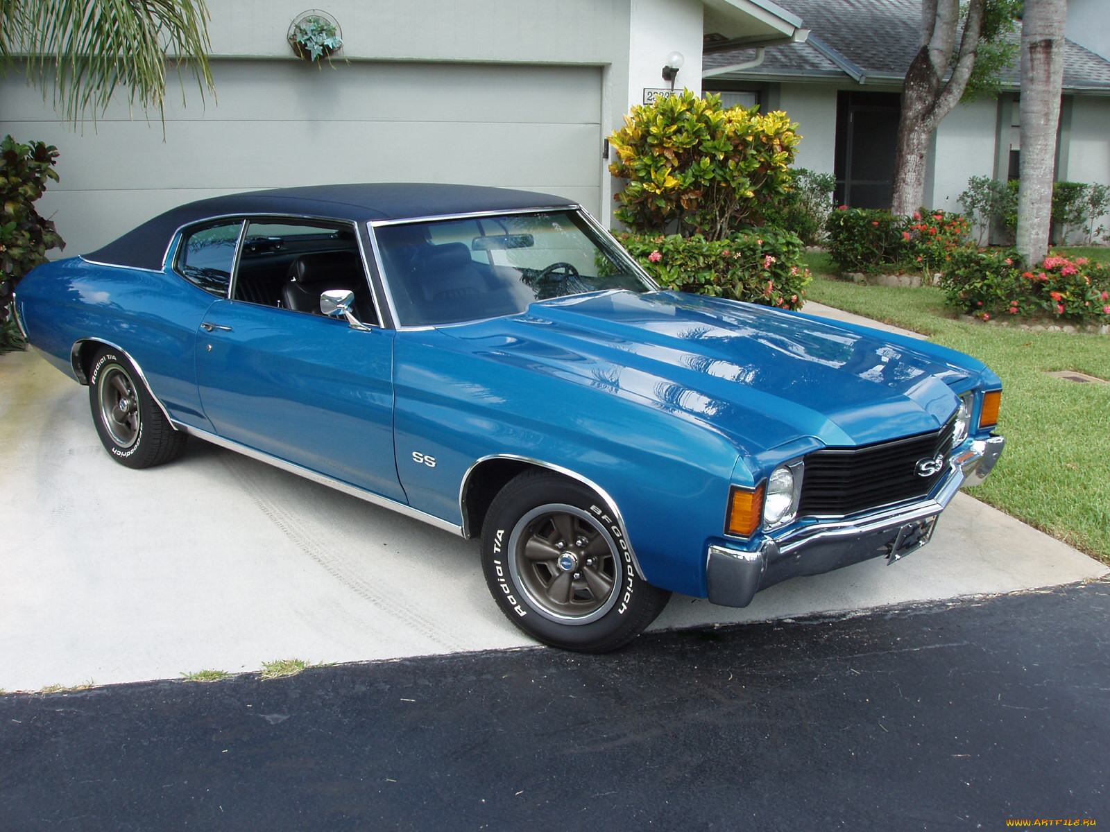 chevelle, 1972, , , , 